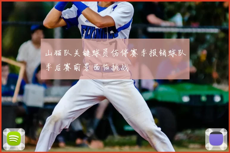 山猫队关键球员伤停赛季报销球队季后赛前景面临挑战