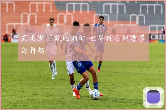 突尼斯不敌比利时 世界杯小组赛悬念再起