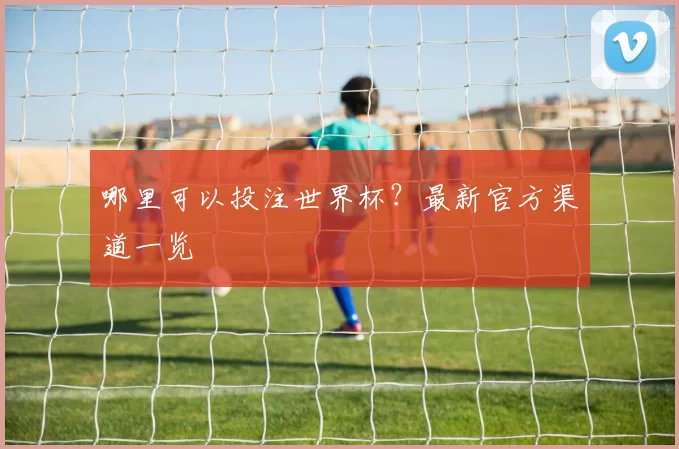 哪里可以投注世界杯？最新官方渠道一览