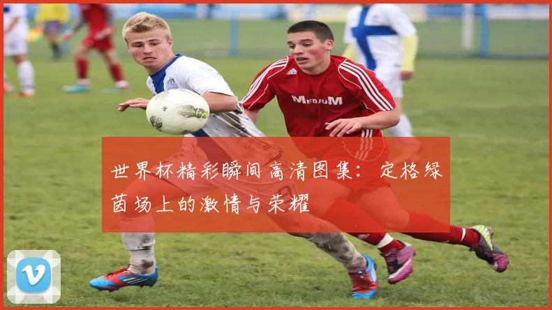 世界杯精彩瞬间高清图集:定格绿茵场上的激情与荣耀