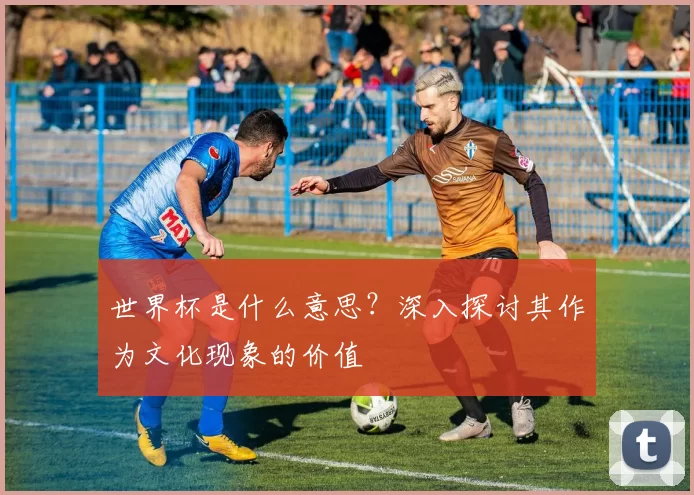 世界杯是什么意思?深入探讨其作为文化现象的价值