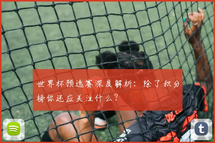 世界杯预选赛深度解析：除了积分榜你还应关注什么？