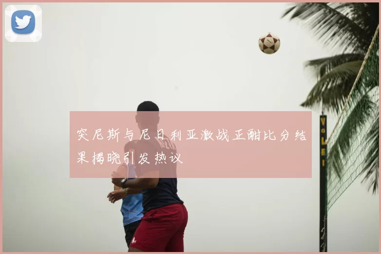 突尼斯与尼日利亚激战正酣比分结果揭晓引发热议