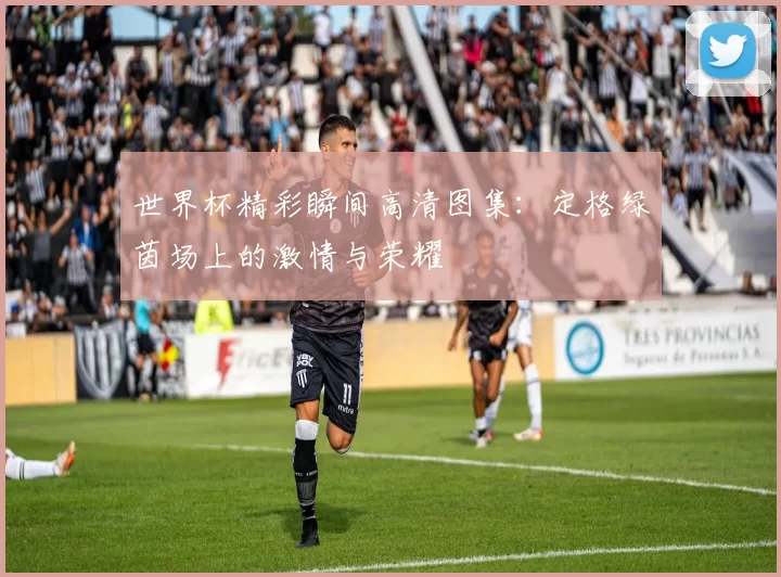 世界杯精彩瞬间高清图集：定格绿茵场上的激情与荣耀