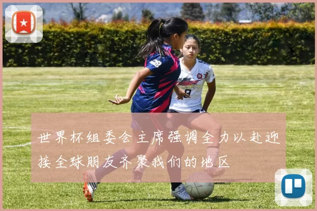 世界杯组委会主席强调全力以赴迎接全球朋友齐聚我们的地区