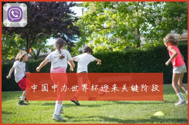 中国申办世界杯迎来关键阶段