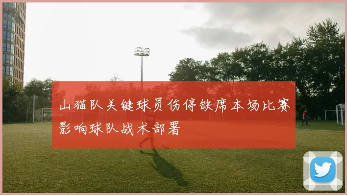 山猫队关键球员伤停缺席本场比赛影响球队战术部署