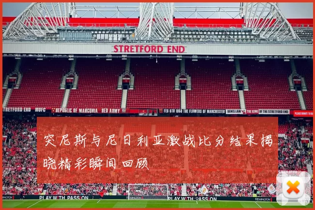 突尼斯与尼日利亚激战比分结果揭晓精彩瞬间回顾