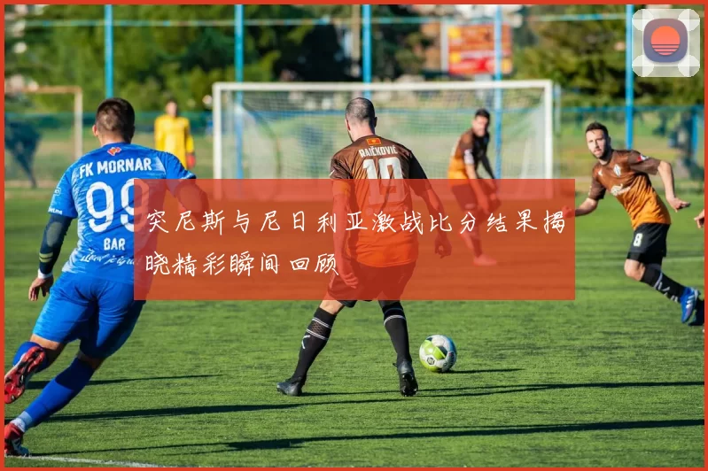突尼斯与尼日利亚激战比分结果揭晓精彩瞬间回顾