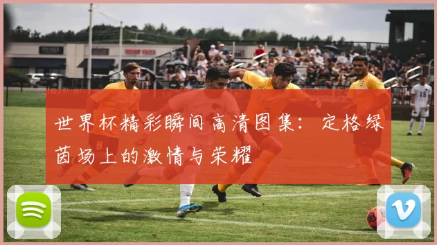 世界杯精彩瞬间高清图集：定格绿茵场上的激情与荣耀