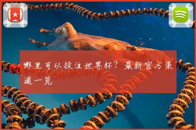 哪里可以投注世界杯？最新官方渠道一览