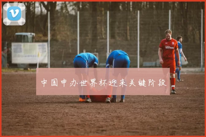 中国申办世界杯迎来关键阶段